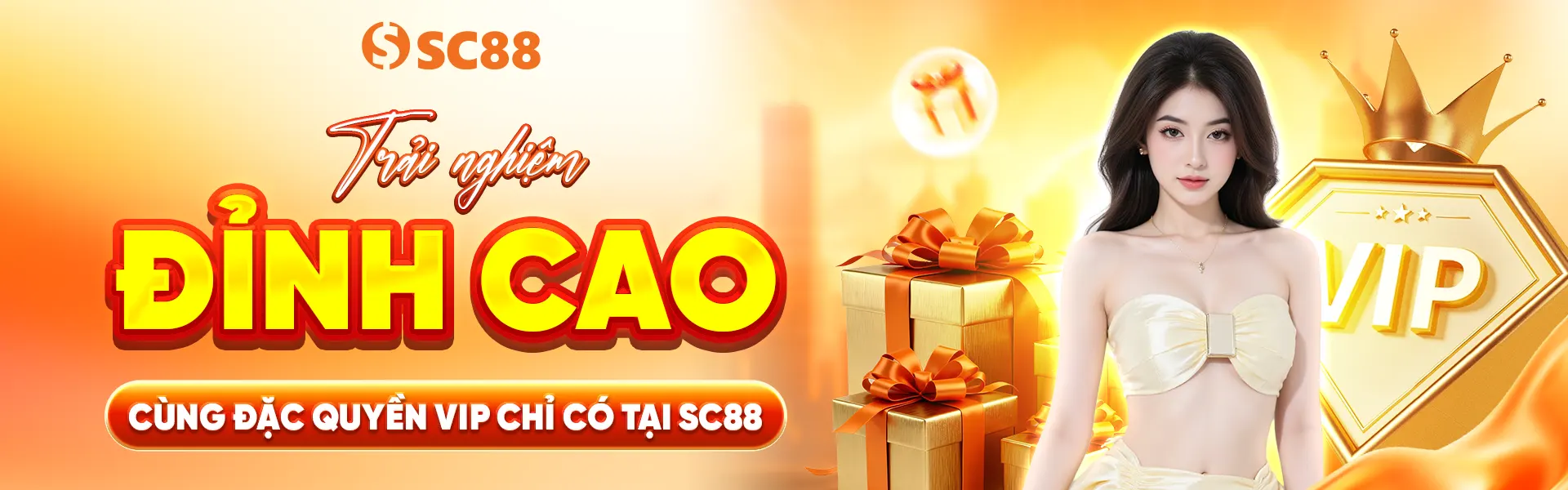 Banner SC88